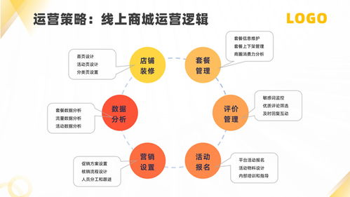 智领未来 软件运营服务（SaaS）公司产品介绍与网络运营服务解决方案